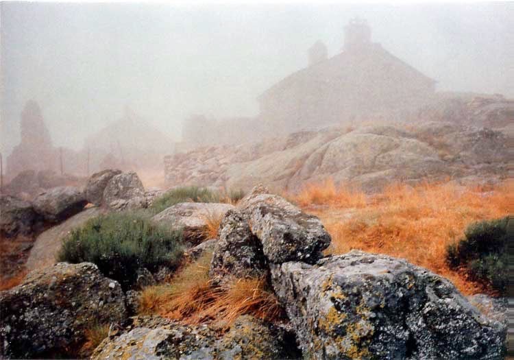Village in the Mist